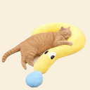 Question Pillow