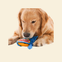 チョコチップトイ