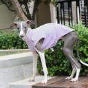 Cool Summer Vest