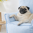 パステルシュガーチェックソファ