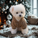 カフェラテフーディー