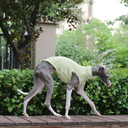 Cool Summer Vest