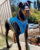Cool Down Vest