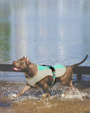 Cool Down Harness