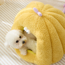 ナチュラルモンスターハウス