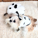 スウィートファーニット