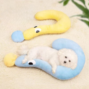 Question Pillow