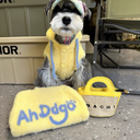 スウィートファーニット