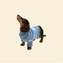 Sunny Day Sweater