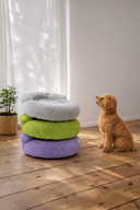 ポップアイベッド