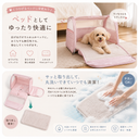 コットンキャンディーキャリーバッグ