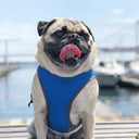 Cool Down Vest