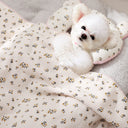 Bear Pillow＆Blanket