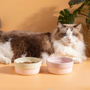 Pastel Small Bowl