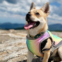 Cool Down Vest