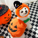 Pumpkin Wear＆hat