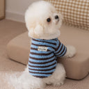 Boa border cozy knit