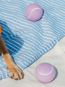 pastel ball