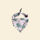 Cool Bandana