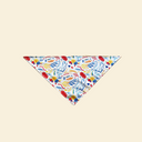 Cool Bandana