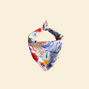 Cool Bandana