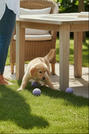 パステルボールセット