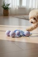 パステルボールセット