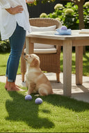 パステルボールセット