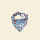 Cool Bandana